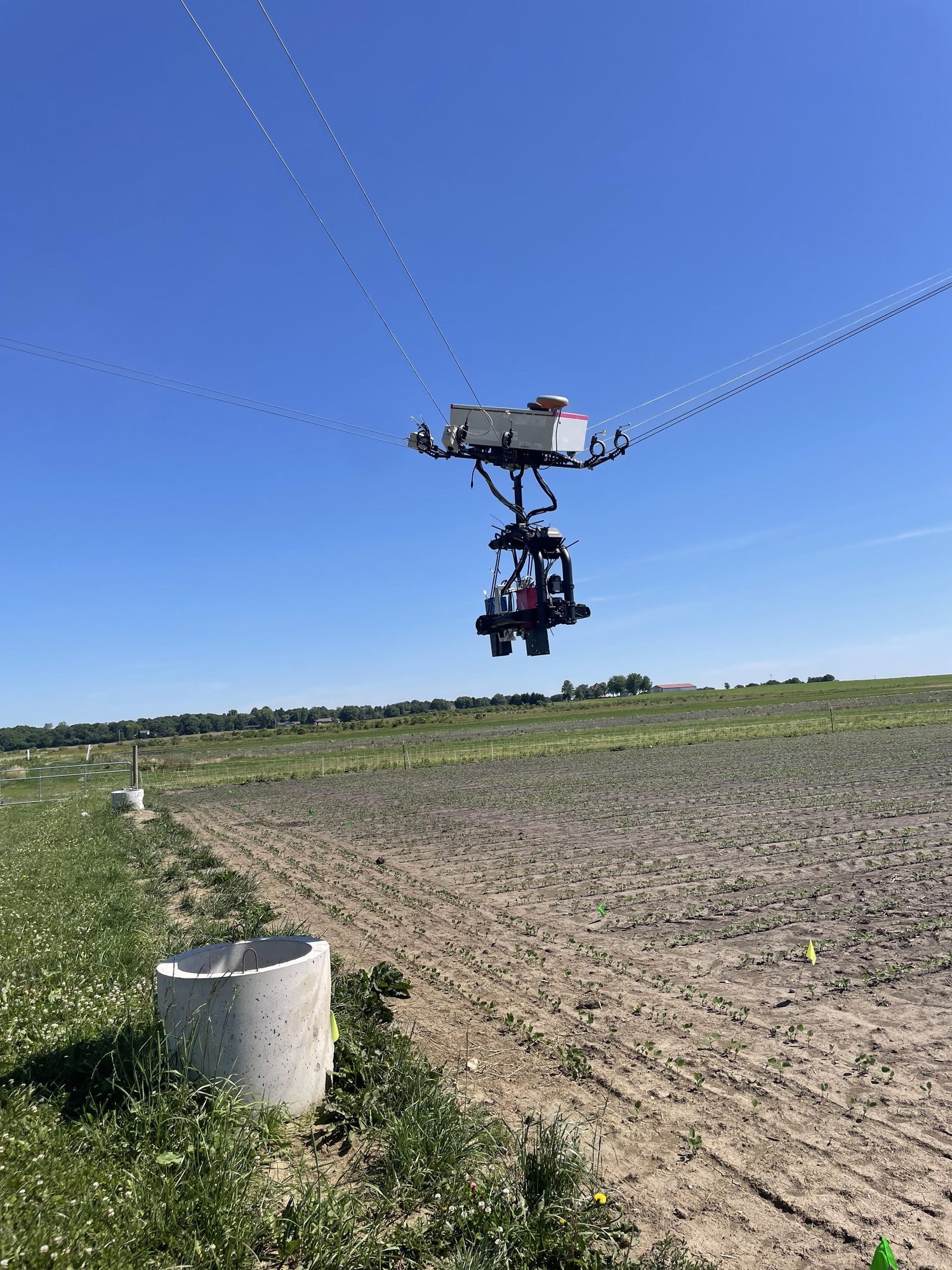 Cable-suspended camera platform over young soybean field