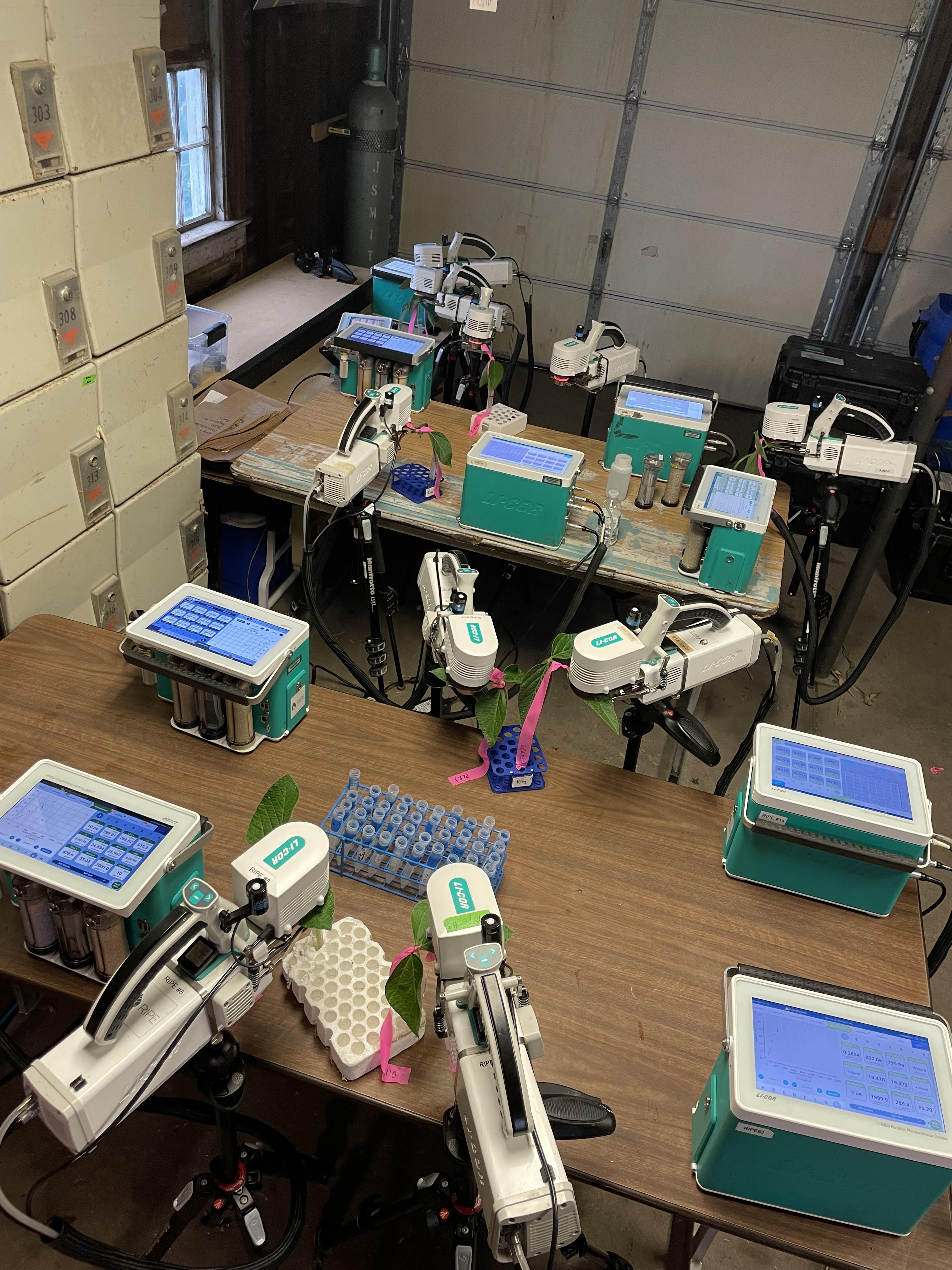 Multiple LI-COR 6800 portable photosynthesis systems on workshop tables