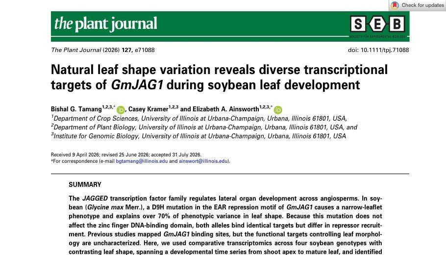 First page of Tamang et al. 2026, The Plant Journal